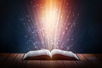 一双翅膀一个b是什么车