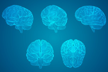 印第安和哈雷如何选