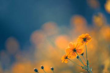 1平方千米的生活实例有哪些？