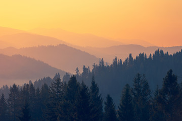 东莞1号线地铁线路