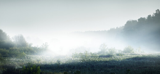 什么比猎豹的速度更快课文的多音字和主要内容