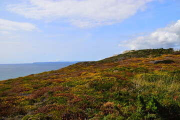 clap小学英语几年级学的单词