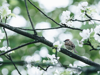 建行粤通卡龙卡etc扣费后如何还款