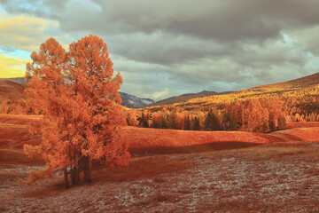 糖尿病人每顿饭怎么吃？
