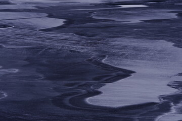 什么比猎豹的速度更快课文的多音字和主要内容