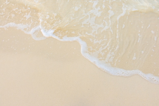 一双翅膀一个b是什么车