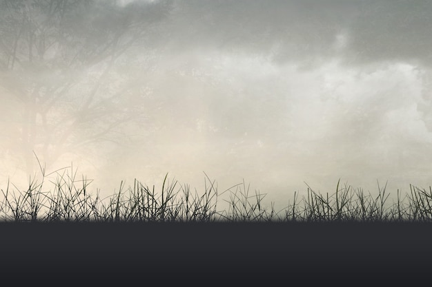 什么比猎豹的速度更快课文的多音字和主要内容