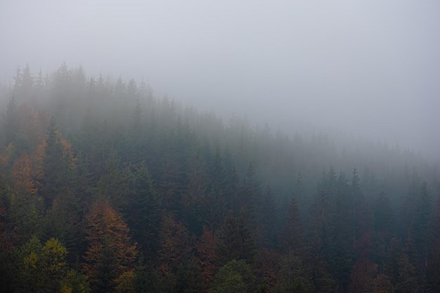 糖尿病人每顿饭怎么吃？