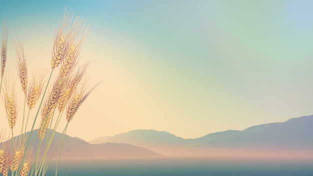 一KW=多少马力。