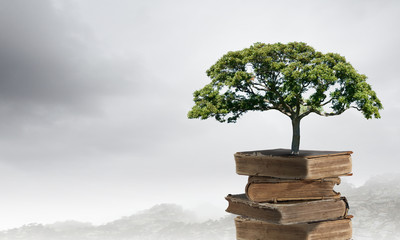 什么比猎豹的速度更快课文的多音字和主要内容