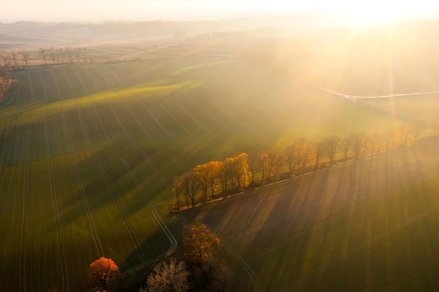 clap小学英语几年级学的单词