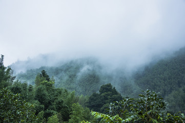 糖尿病人每顿饭怎么吃？